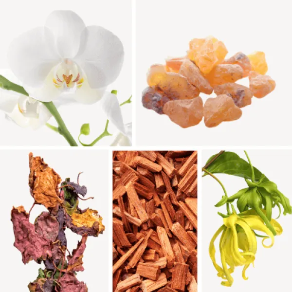 Duftnoten: Orchidee, Weihrauch, Patschuli, Sandelholz, Ylang-Ylang